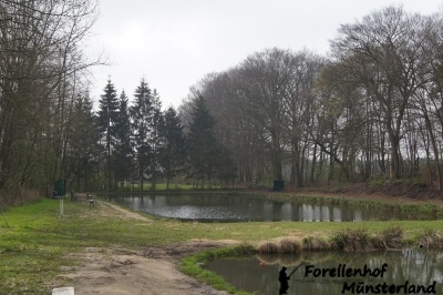 Der Blick auf Teich 2.
